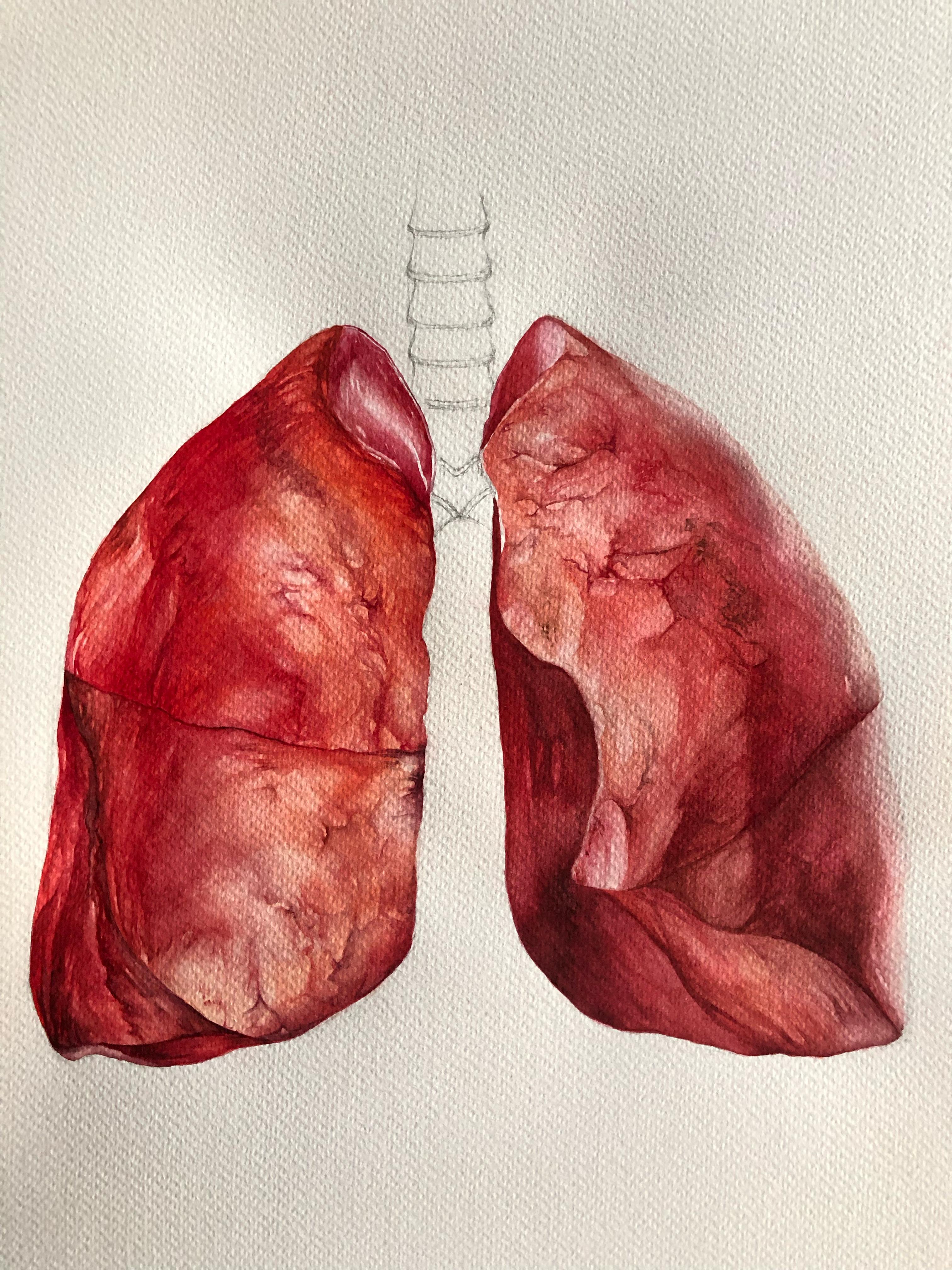 Between two lungs