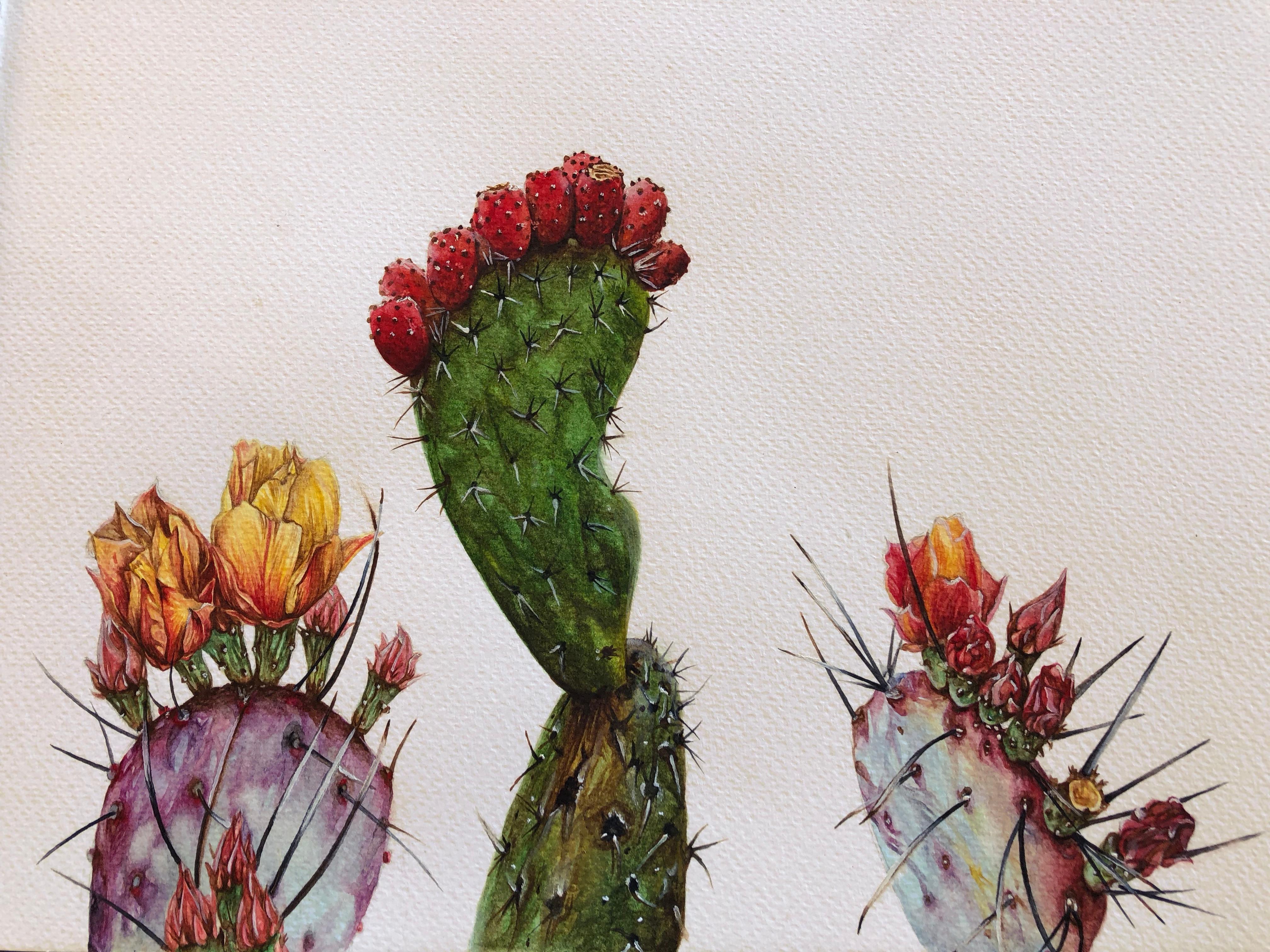 Cacti