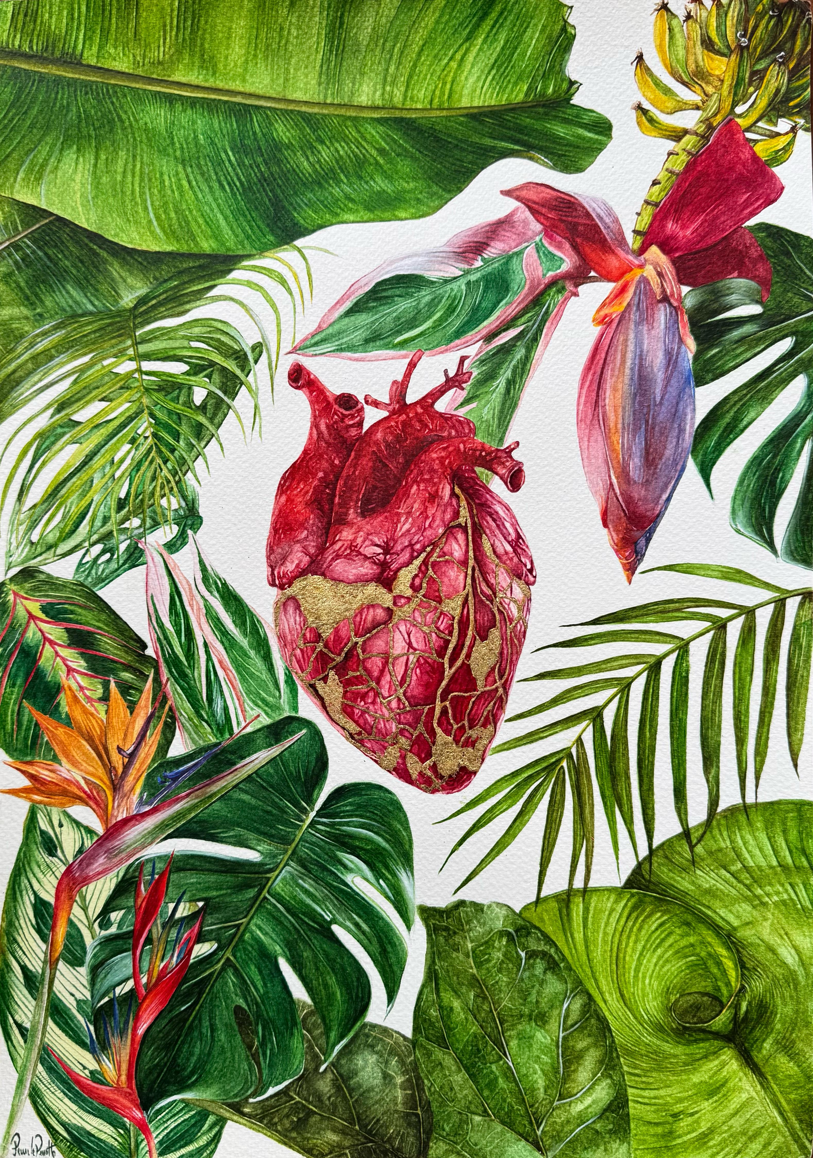 Il cuore di Giada