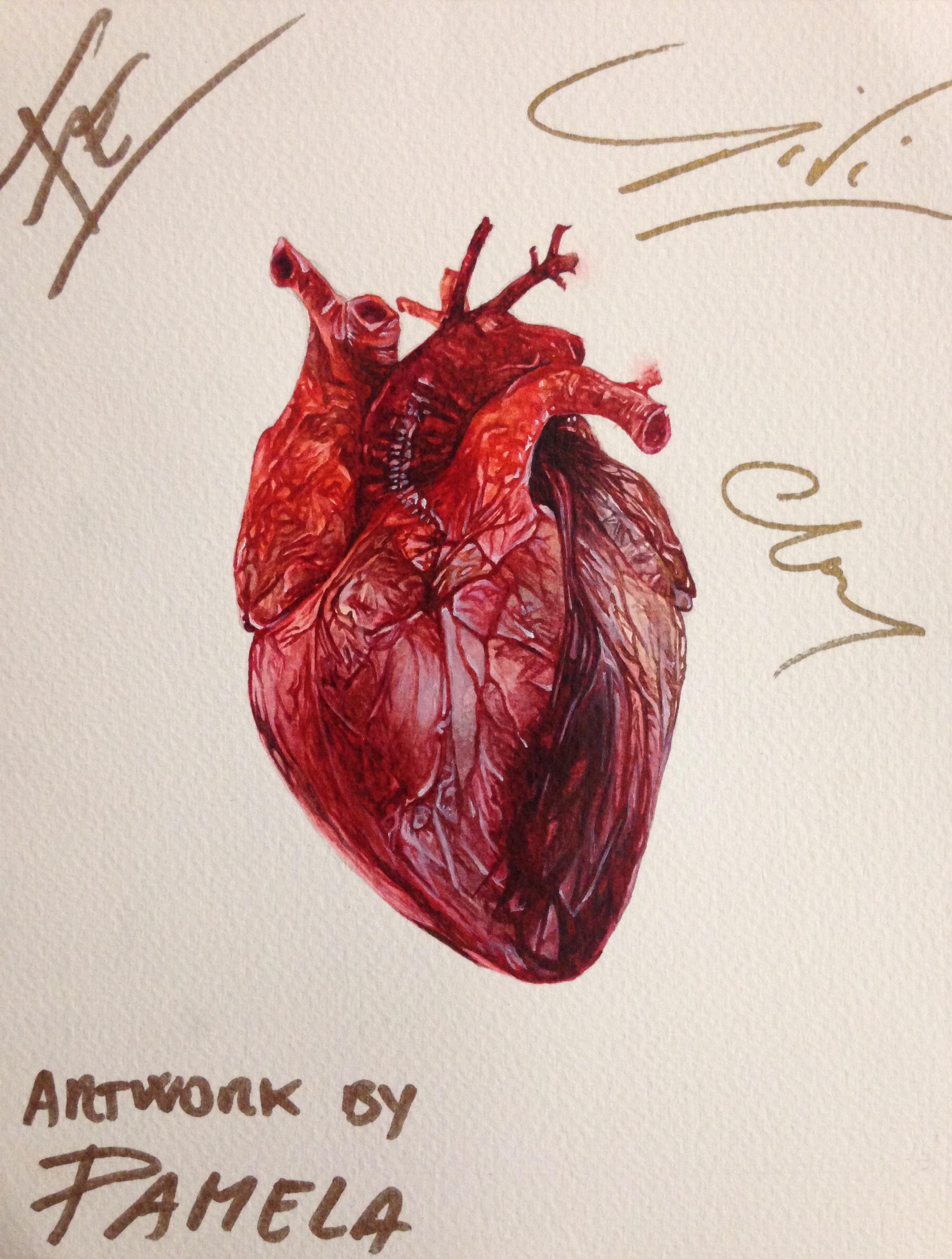In alto i nostri cuori