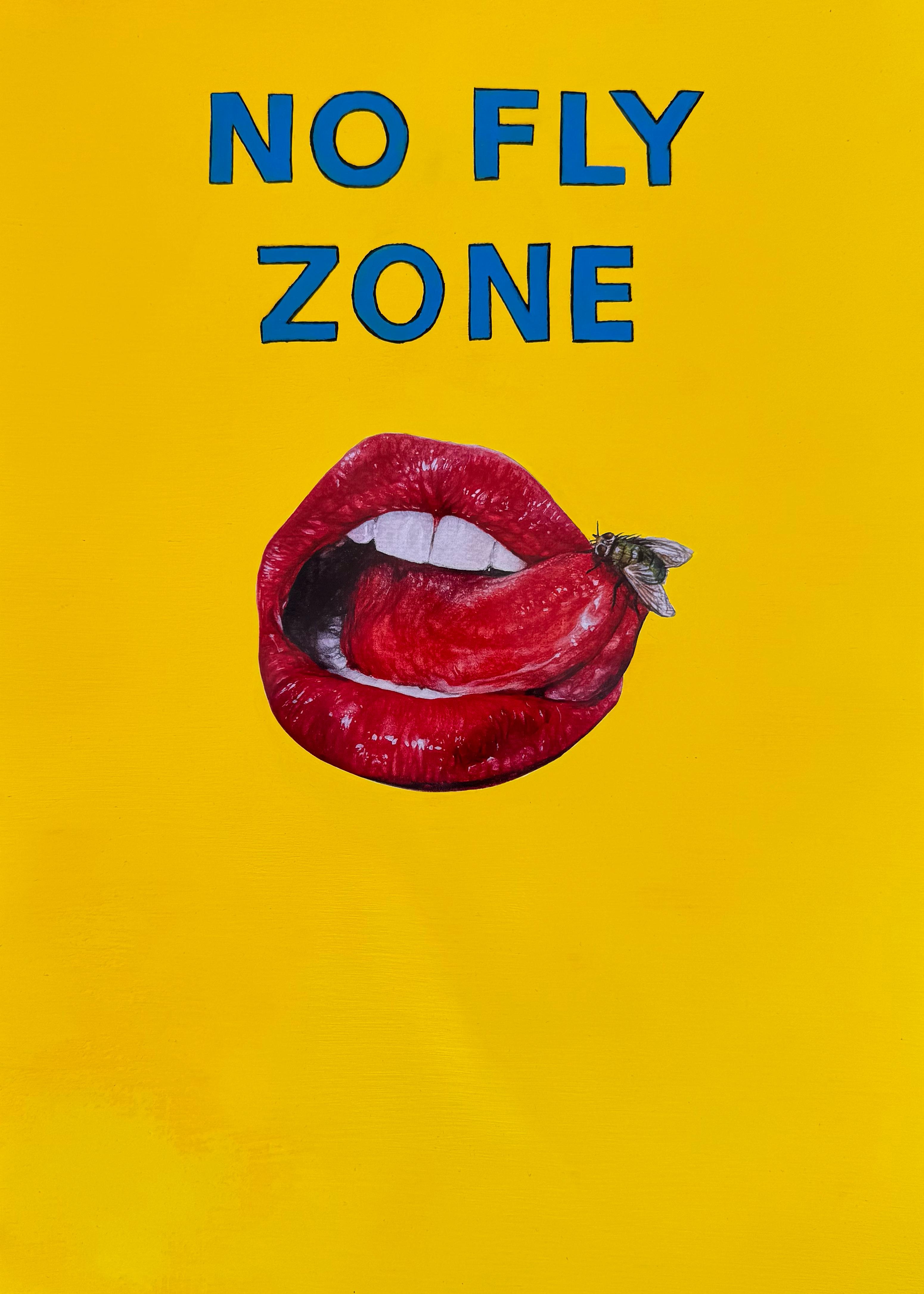 NO FLY ZONE
