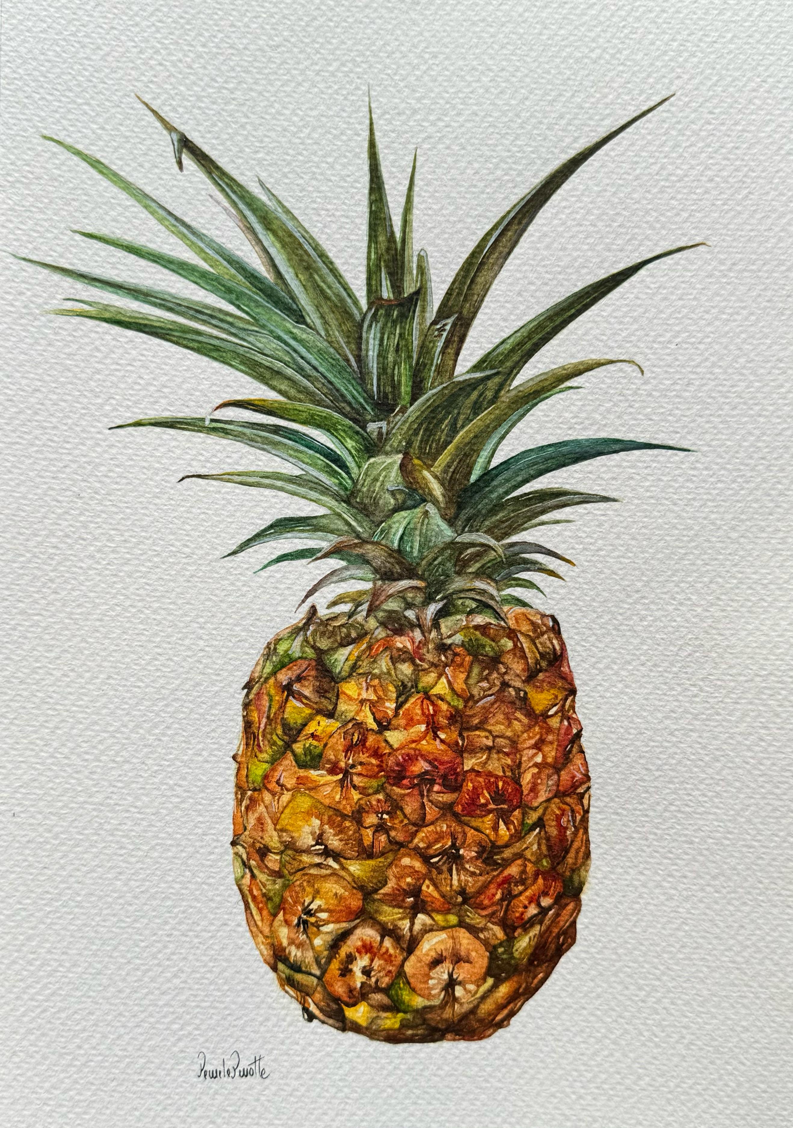Pineapple
